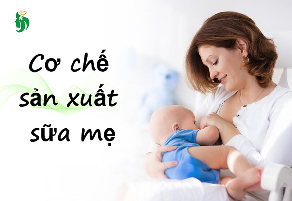 Cơ chế tiết sữa ở mẹ sau sinh