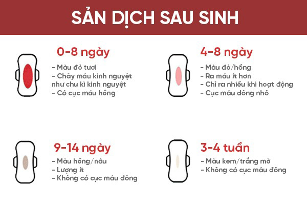Màu sắc sản dịch sau sinh theo từng giai đoạn