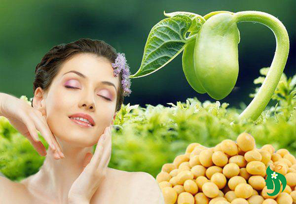 Bổ sung nội tiết tố bằng mầm đậu nành