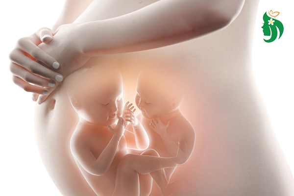 Buồng trứng đa nang có mang thai được không?