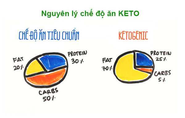 Nguyên lý hoạt động của chế độ ăn Keto