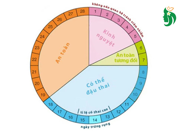 Hiểu rõ chu kỳ kinh nguyệt và khả năng thụ thai