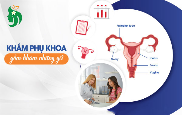 Gói khám phụ khoa tổng quát gồm những gì?