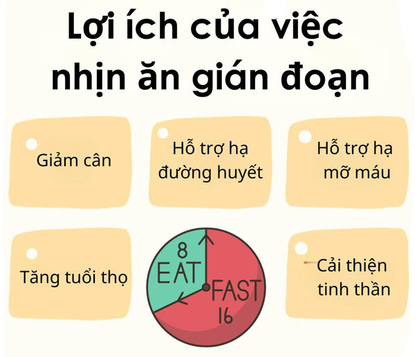 Lợi ích của chế độ ăn giảm cân 16 8