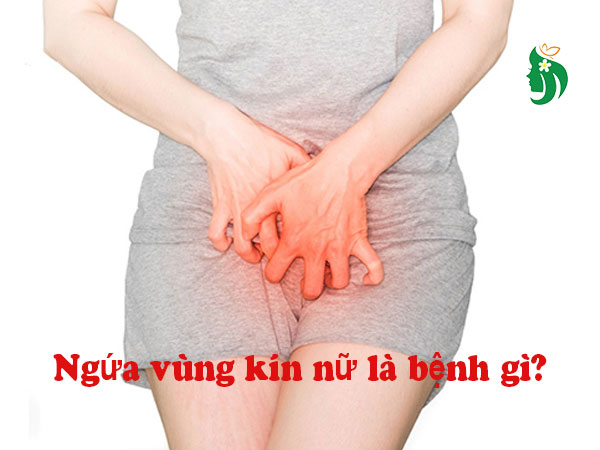 Ngứa vùng kín nữ: Nguyên nhân, dấu hiệu và cách điều trị hiệu quả
