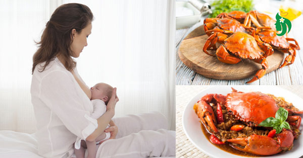 Ăn hải sản sau sinh mổ có ảnh hưởng đến sữa mẹ?