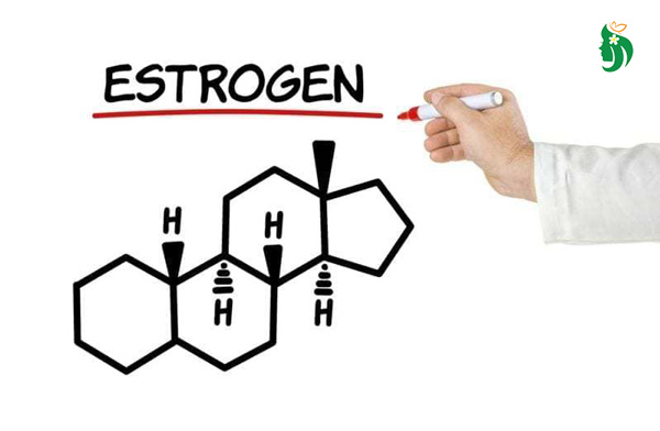 Cách khắc phục tình trạng thiếu hụt estrogen hiệu quả