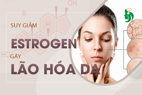 Thiếu hụt Estrogen ở phụ nữ: Dấu hiệu, nguyên nhân và cách khắc phục