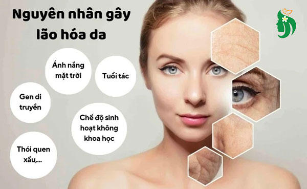 Nguyên nhân khiến da mặt bị lão hóa sớm