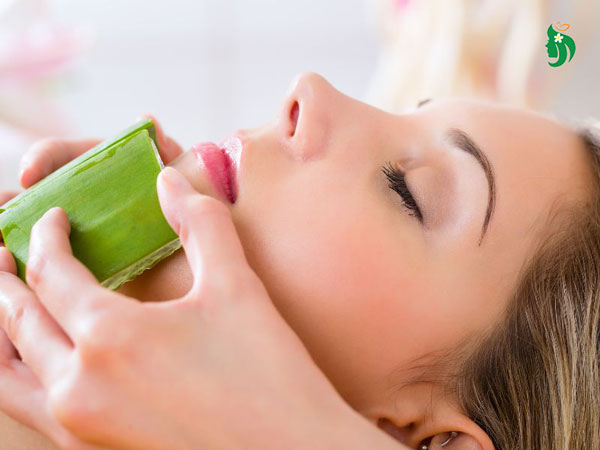 Đắp mặt nạ nha đam tươi nguyên chất