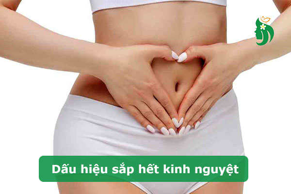 Dấu hiệu sắp hết kinh nguyệt: Nhận biết để chăm sóc cơ thể tốt hơn