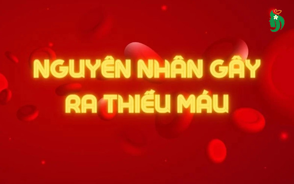 Nguyên nhân gây thiếu máu thường gặp