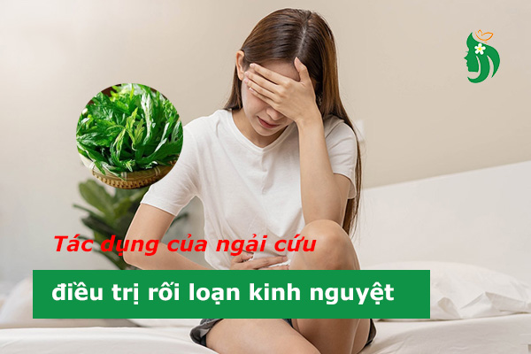 Ngải cứu chữa kinh nguyệt không đều: Giải pháp tự nhiên an toàn cho nữ giới