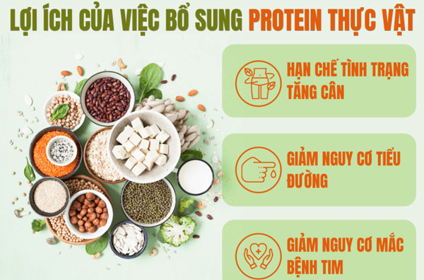 Lợi ích của protein thực vật đối với sức khỏe