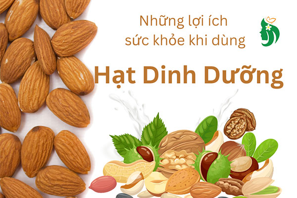 Giải mã tác dụng của các loại hạt dinh dưỡng được chuyên gia khuyên dùng