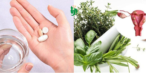 So sánh thuốc Tây và thảo dược trong điều trị u xơ tử cung