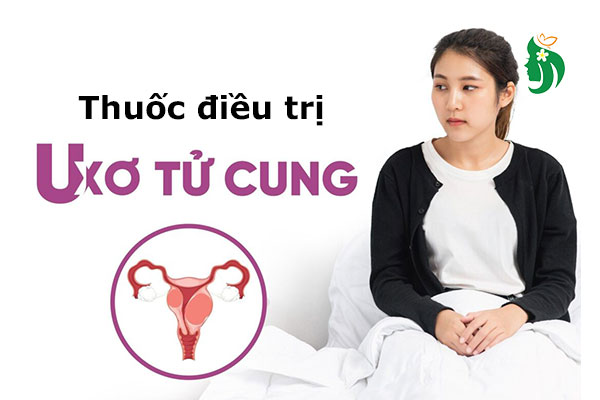Top 5 thuốc trị u xơ tử cung tốt nhất hiện nay được khuyên dùng