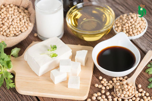 Đậu phụ có chứa estrogen thực vật