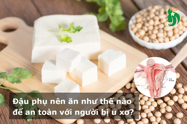 Đậu phụ nên ăn như thế nào để an toàn với người bị u xơ?