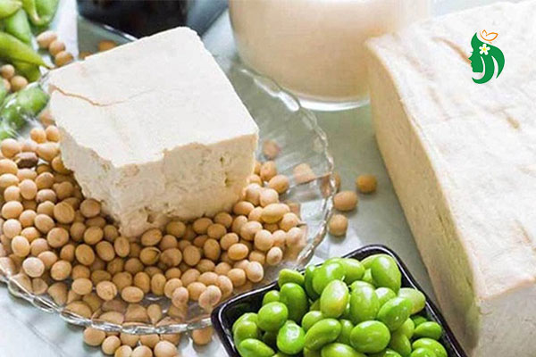 U xơ tử cung có nên ăn đậu phụ? Chuyên gia giải đáp chi tiết