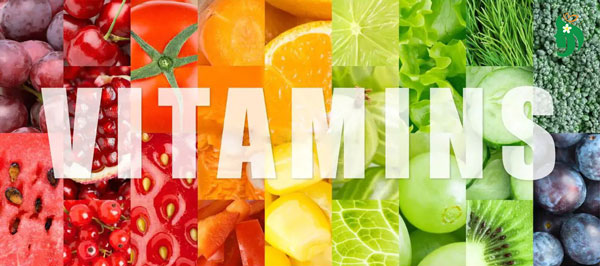 Ảnh hưởng của vitamin đến u xơ tử cung
