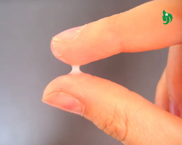 Chất nhầy như thế nào là có thai?