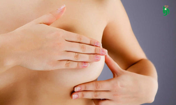 Phân biệt nhũ hoa khi mới mang thai và thời kỳ trước kinh