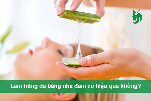 Làm trắng da bằng nha đam có hiệu quả không? Gợi ý công thức DIY đơn giản tại nhà