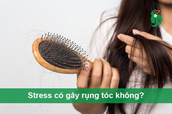 Stress có làm rụng tóc không? Giải đáp chuyên sâu từ chuyên gia
