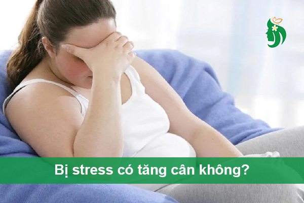 Stress có làm tăng cân không? Giải mã hiệu ứng căng thẳng đến cân nặng