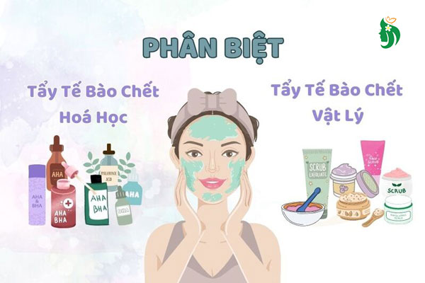 Phân biệt tẩy da chết vật lý và hóa học